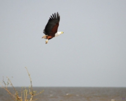Pottery Lodge, near Nkhotakota, Malawi