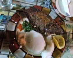 Chambo, Pottery Lodge, near Nkhotakota, Malawi