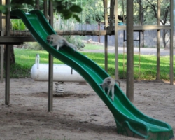 Maramba River Lodge, Livingstone