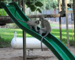 Maramba River Lodge, Livingstone