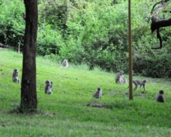 Maramba River Lodge, Livingstone
