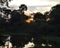 Maramba River Lodge, Livingstone