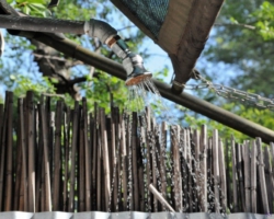 Maramba River Lodge, Livingstone