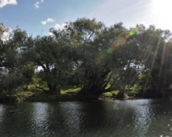 Zambezi, Livingstone