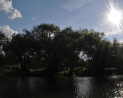 Zambezi, Livingstone