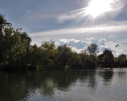 Zambezi, Livingstone