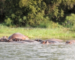 Zambezi, Livingstone