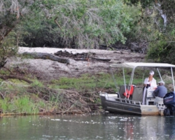 Zambezi, Livingstone