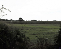 Kasanka National Park, Pontoon 3 camp