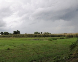 Kasanka National Park, Pontoon 3 camp