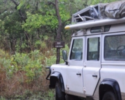 bat migration, Kasanka National Park