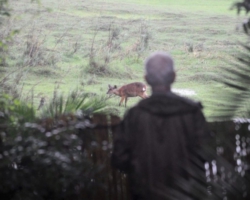 Simon watching Sitatunga antelopes, Kasanka National Park, Pontoon 3 camp
