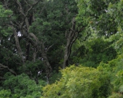 Kasanka National Park, Pontoon 3 camp