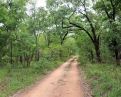 Kasanka National Park