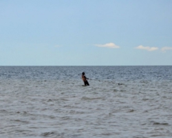Samfya, Lake Bangweulu