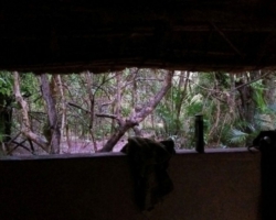 view from the shower, Kasanka National Park, Pontoon 3 camp