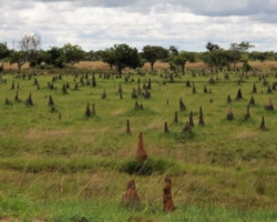 northern Zambia