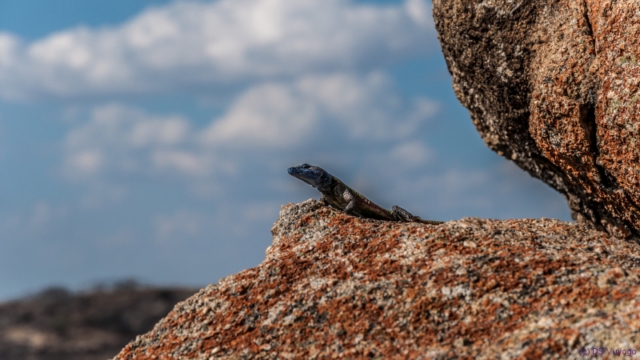Matopos, Zimbabwe