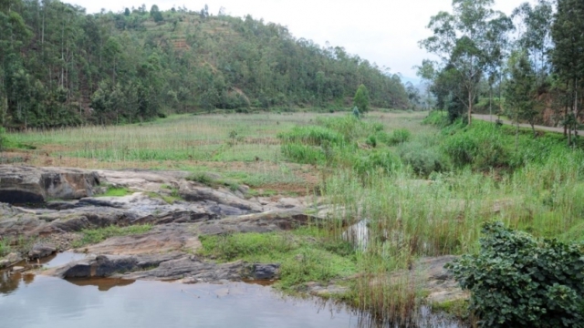 near Lake Ruhondo