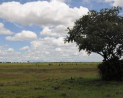 northern Zambia