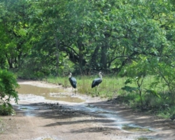 northern Zambia