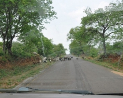towards Lusaka