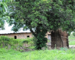 Samfya