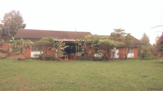 IMAG8106_1