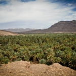 Oasis, Morocco