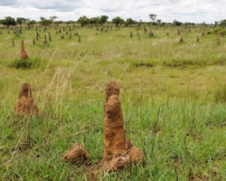 northern Zambia