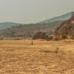 Zambia