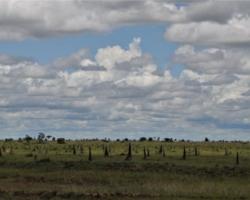 northern Zambia