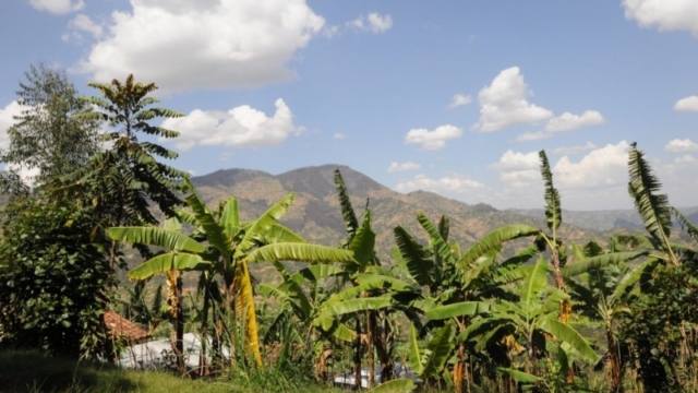 north Rwanda