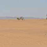 near M'hamid el-Ghislane, Morocco