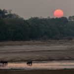 View from my tent in the morning, Croc Valley Camp, South Luangwa, Zambia