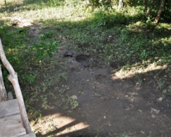 Elephant and hippo footprints at our tent